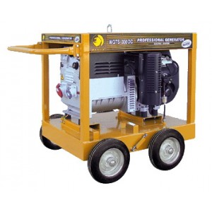 Generator Benza benzina cu rezervor standard WGTS 300 DC-10