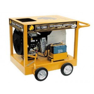 Generator Benza cu rezervor standard TRS12000